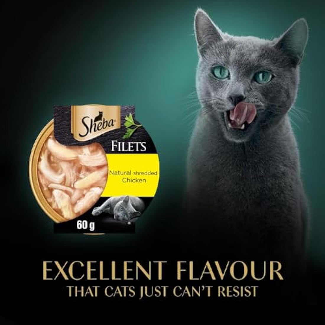 Sheba Chicken in Gravy Wet Cat Food - 32 x 60g Trays Bulk Pack