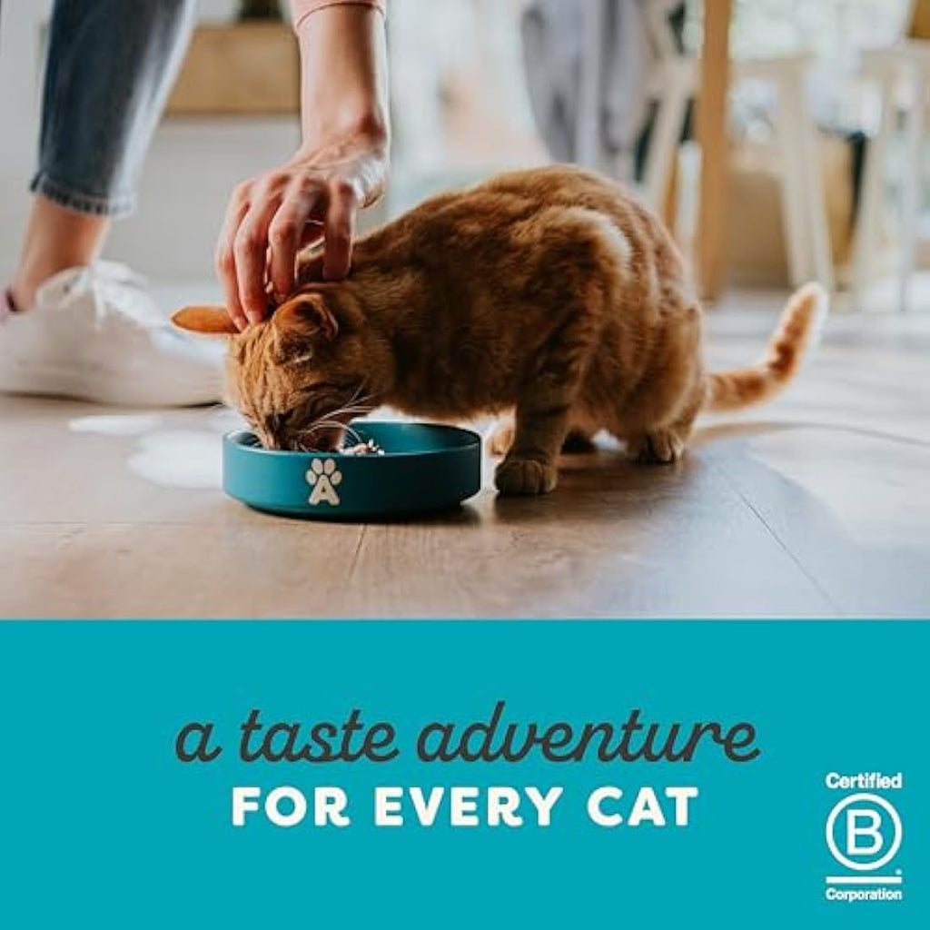 Applaws Natural Wet Cat Food - Tuna with Salmon in Jelly (16 x 70g)
