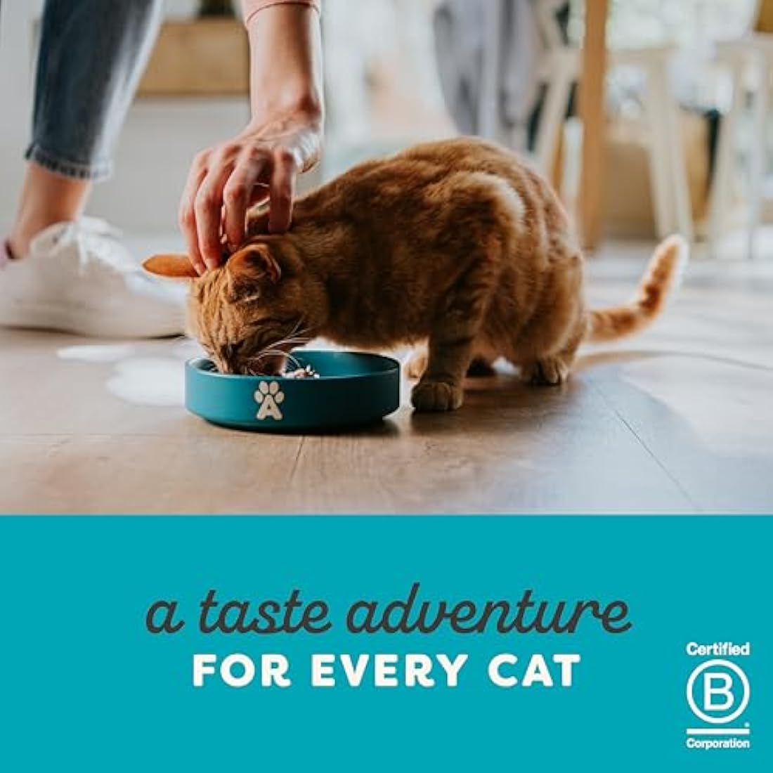 Applaws Natural Wet Cat Food - Tuna with Salmon in Jelly (16 x 70g)