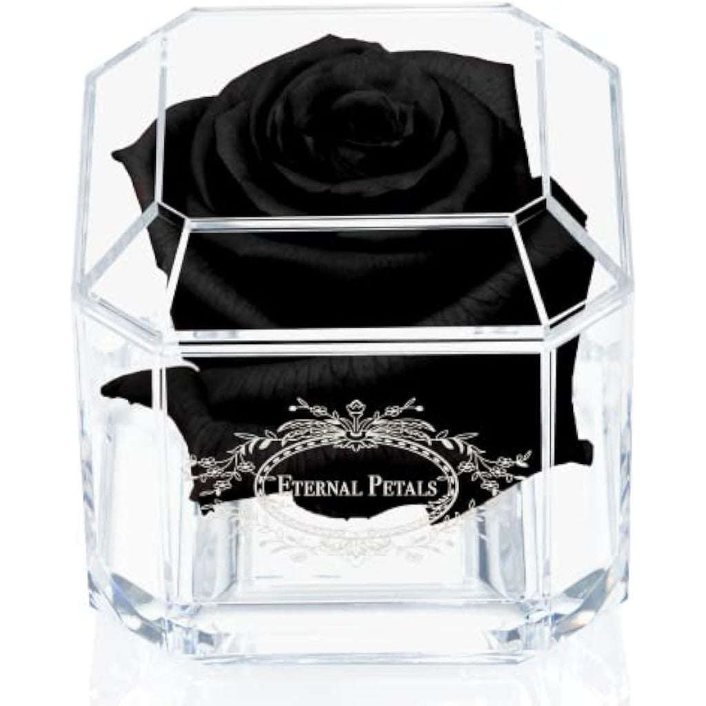 Eternal Petals Preserved Infinity Rose – Handmade Real Rose in Black