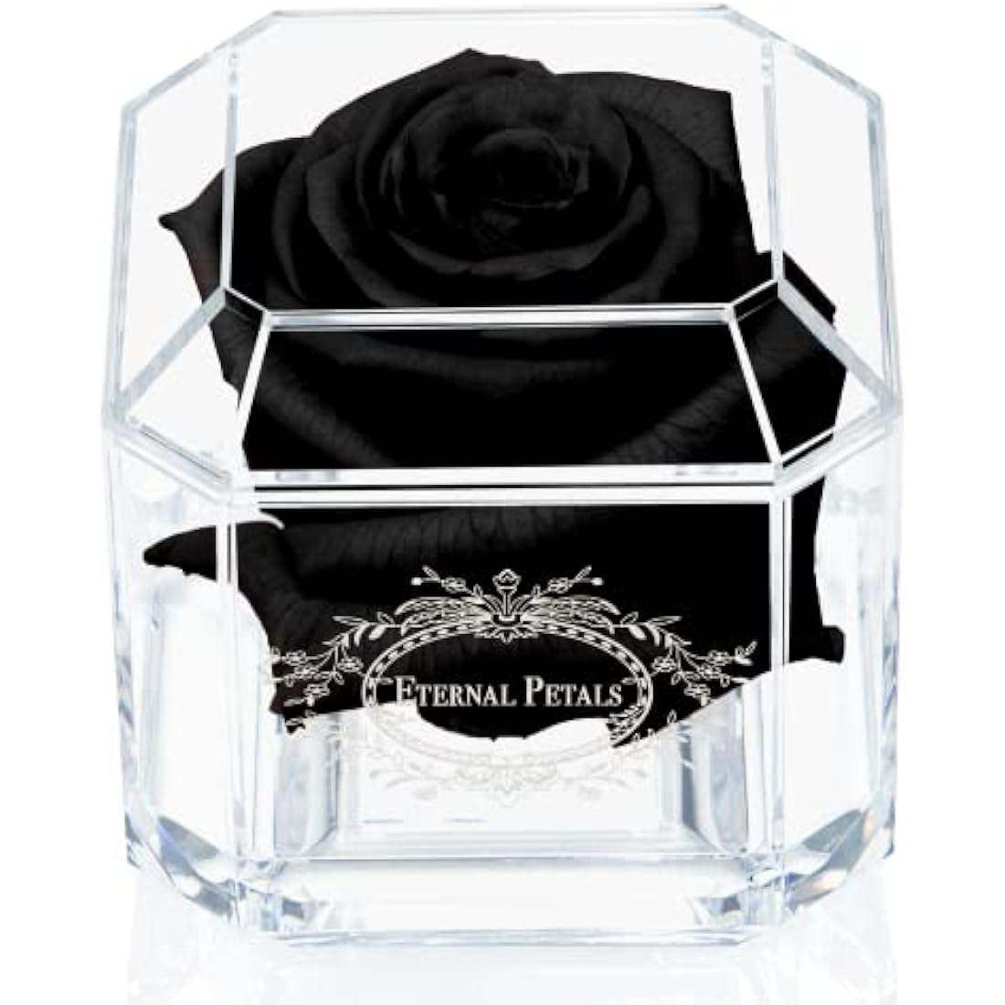 Eternal Petals Preserved Infinity Rose – Handmade Real Rose in Black