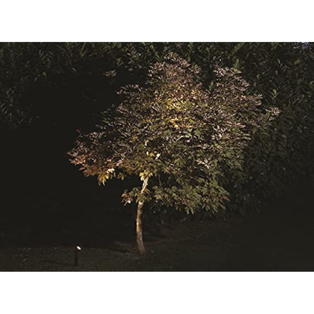 Blagdon Ultra Bright LED Pond & Garden Lights | Submersible 3-Light Set