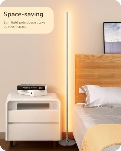 EDISHINE LED Floor Lamp | Dimmable Minimalist Silver Corner Standing Lamp