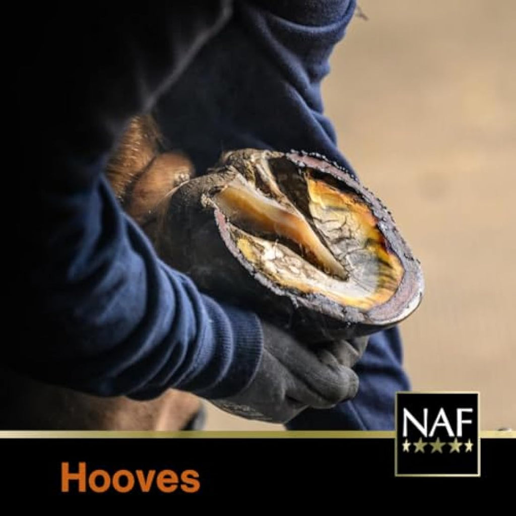 NAF Profeet Farrier Hoof Dressing – 2.5kg Daily Hoof Conditioner