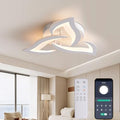 KAUCQI 56cm Petal LED Ceiling Light | Dimmable 15W Modern Lamp with Remote