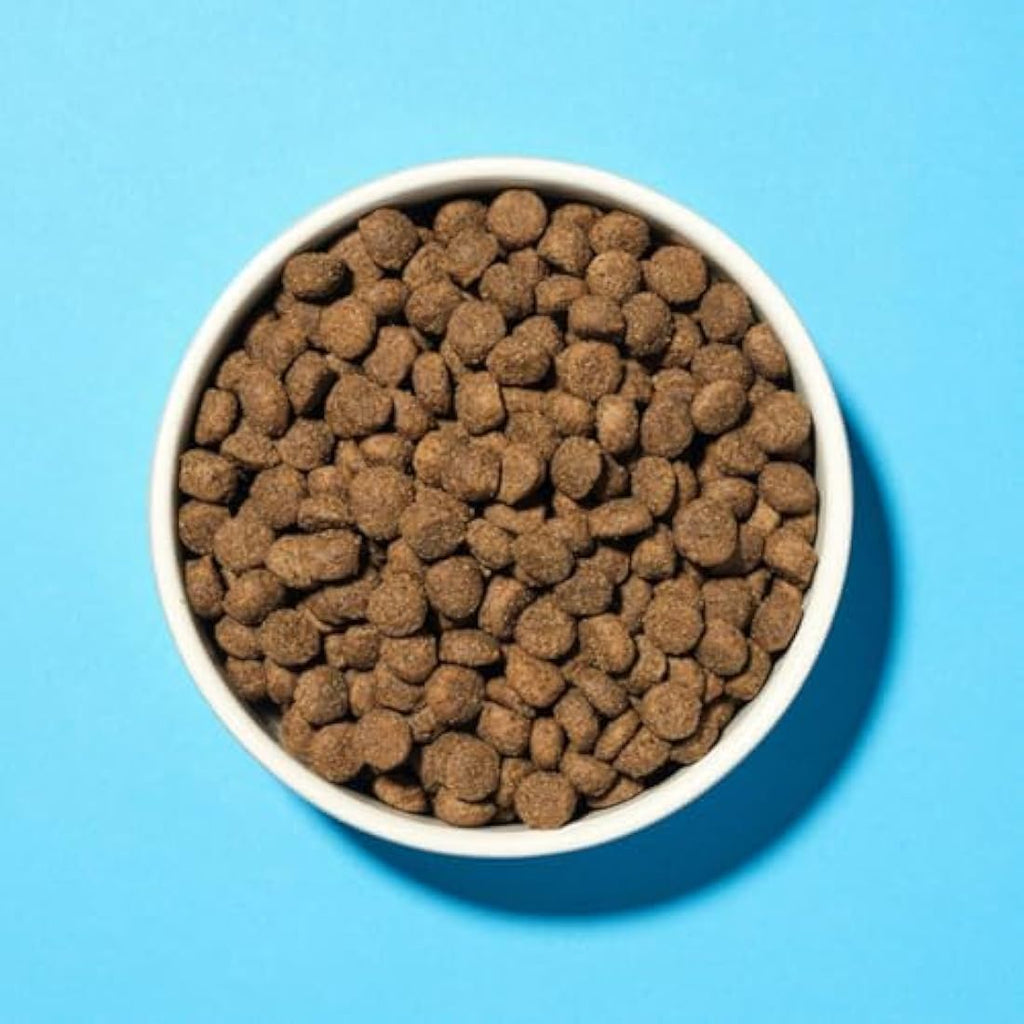 Pooch & Mutt Grain Free Salmon Dog Food for Sensitive Digestion - 10kg