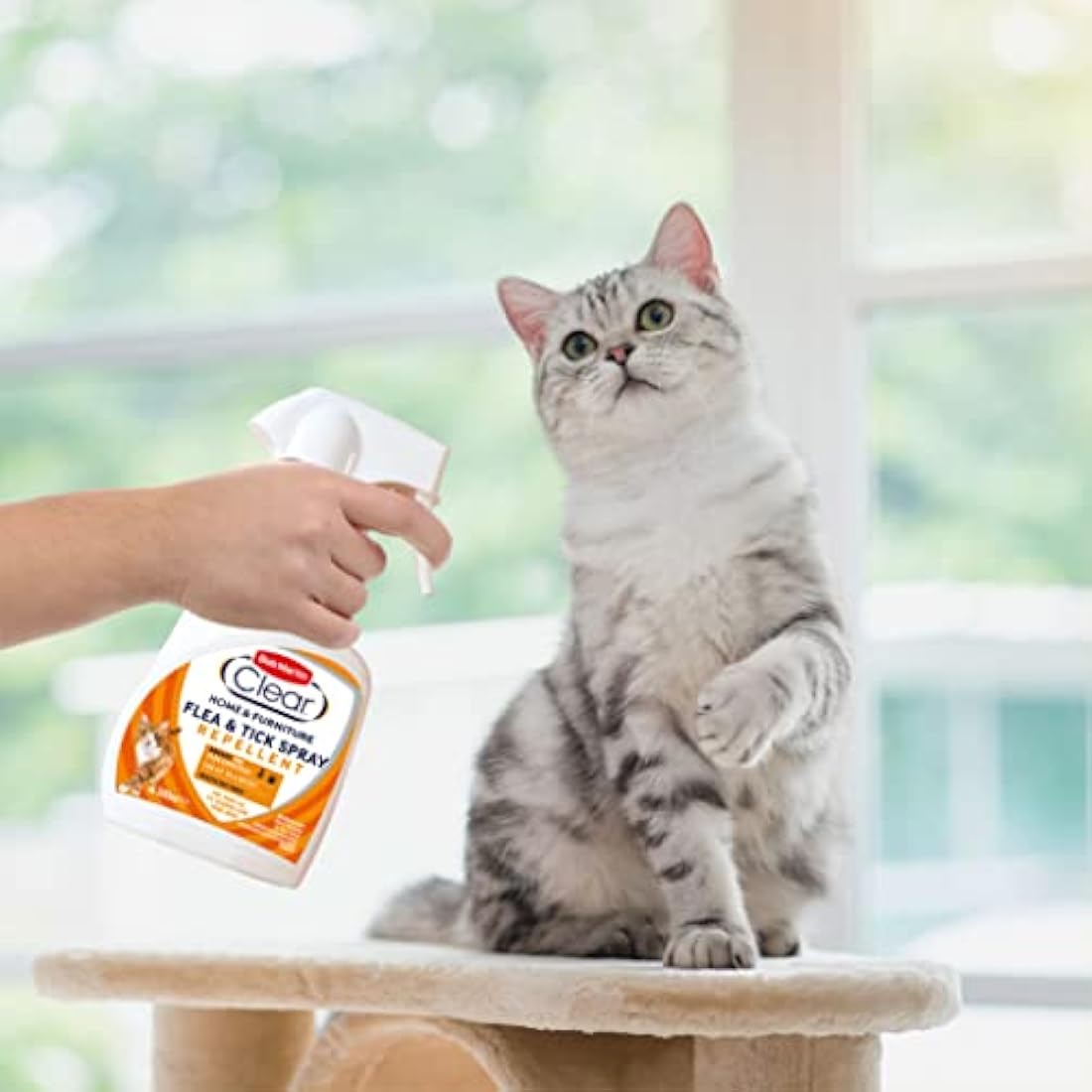 Bob Martin Clear Flea & Tick Repellent Spray for Home and Cats - 300ml