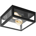 Eglo Alamonte 1 Outdoor Ceiling Light – Black Steel & Glass IP44