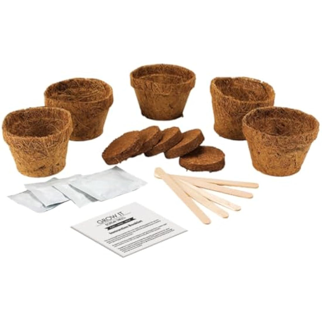 Gift Republic Grow Your Own Bonsai Tree Kit - DIY Gardening Gift Set