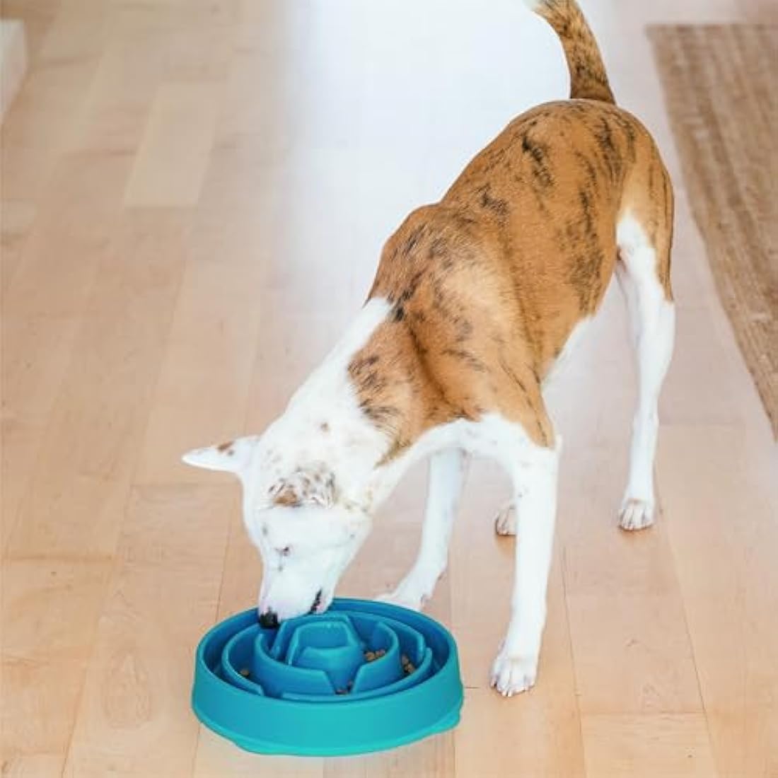 Outward Hound Slow Feeder Dog Bowl | Large Turquoise Fun Feeder
