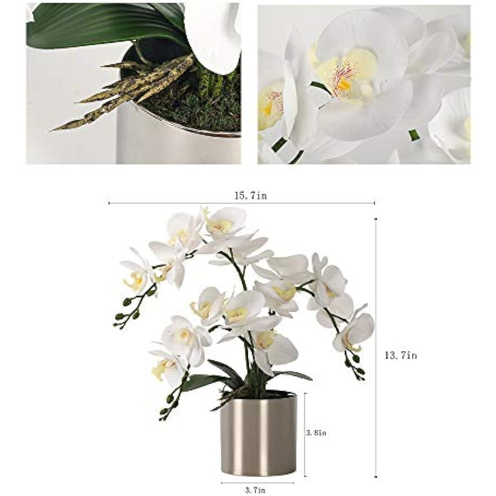 Jolof Store White Artificial Orchid Bonsai | Faux Phalaenopsis with Vase