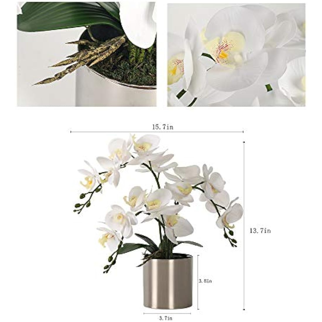 Jolof Store White Artificial Orchid Bonsai | Faux Phalaenopsis with Vase