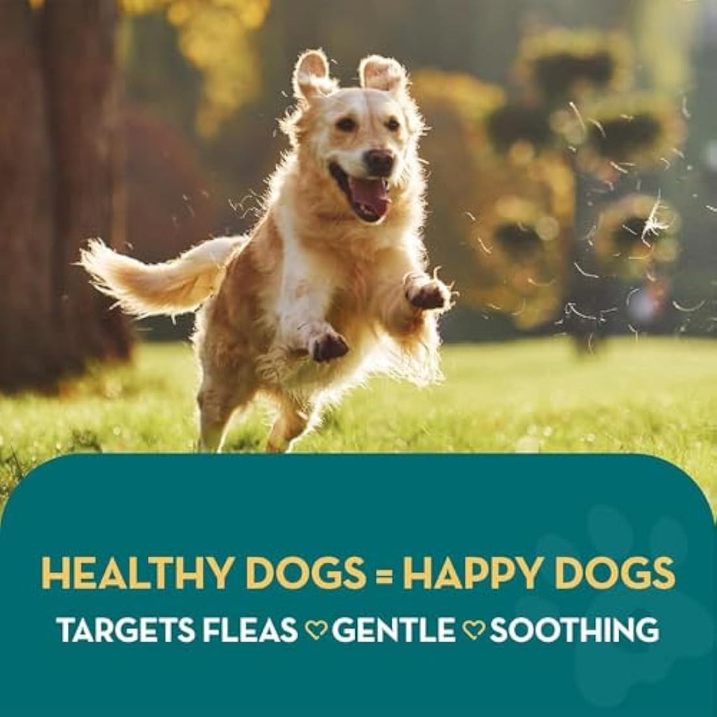 Jolof Store Natural Flea Spray for Dogs, Cats & Home – Non-Toxic 500ml