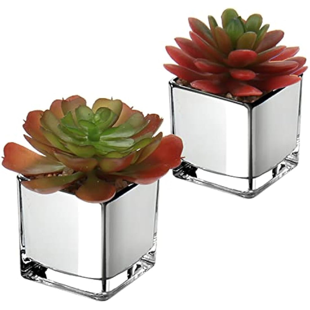 Mini Artificial Succulents – Set of 2 Faux Plants in Glass Pots
