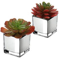 Mini Artificial Succulents – Set of 2 Faux Plants in Glass Pots