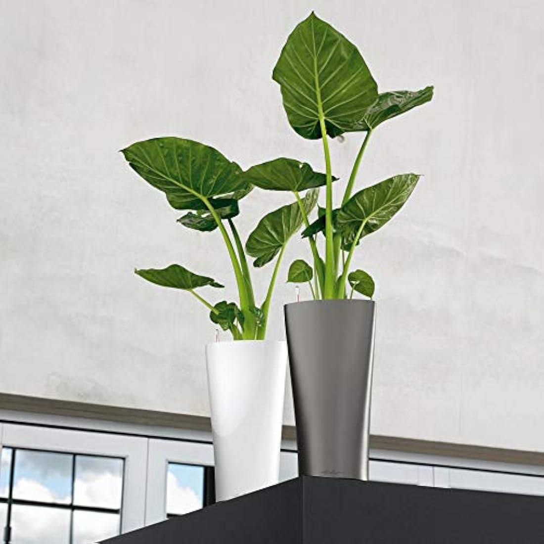 Lechuza Delta 40 Self-Watering Tall Planter – White High-Gloss Plastic