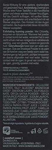 Skin Regimen Enzymatic Powder – Exfoliating & Cleansing Face Wash, 55g