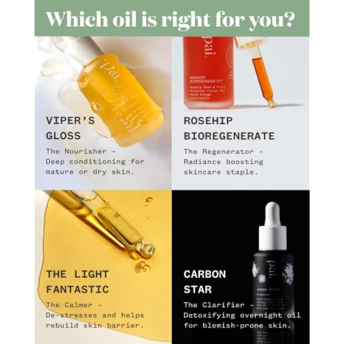 Pai Skincare Viper's Gloss Squalene Night Face Oil - Organic Anti-Aging