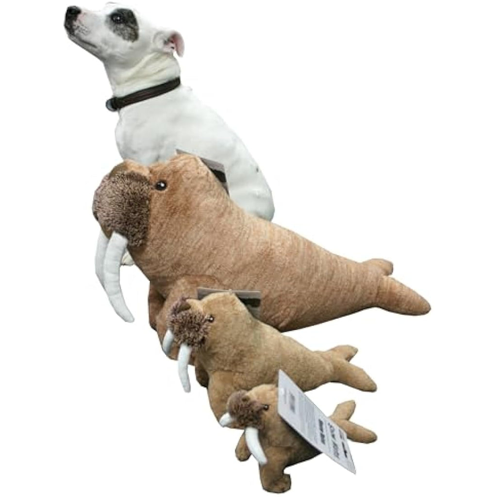 Animal Instincts Winston Walrus Squeaky Plush Dog Toy – Small