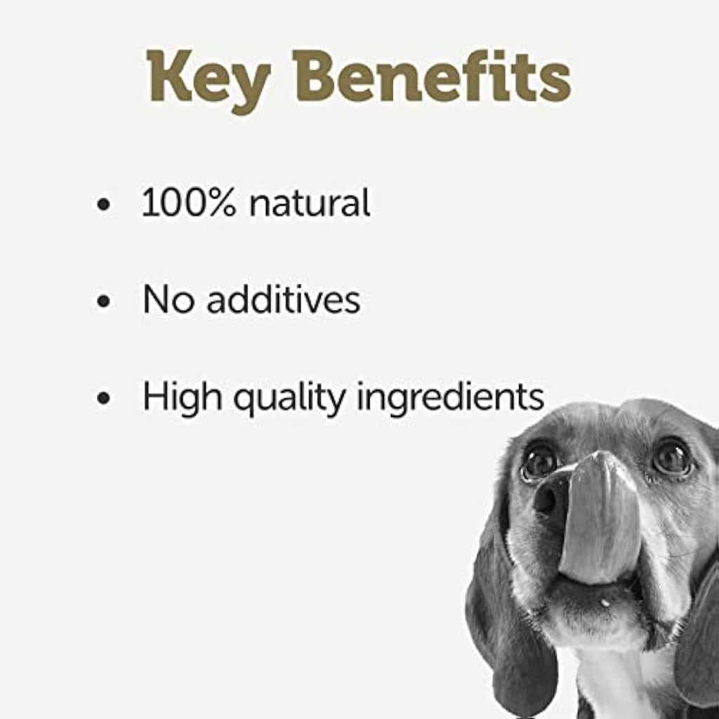 Applaws Natural Wet Dog Food | Chicken & Salmon with Veg | 12 x 156g