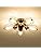 GLADFRESIT Industrial 5-Light Metal Cage Semi-Flush Mount Chandelier