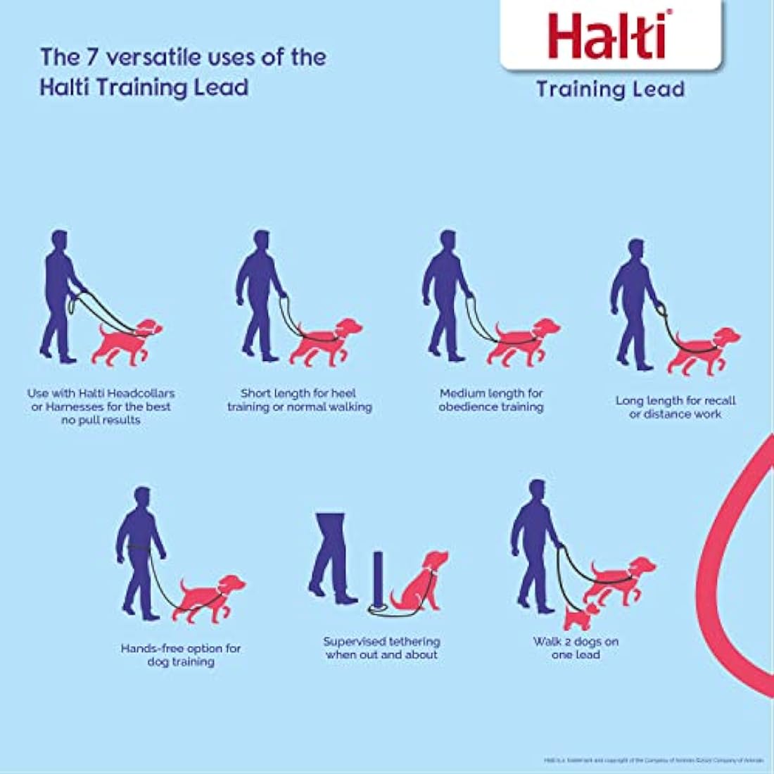 Halti No Pull Dog Harness & Training Leash Set | Black, Medium/Large