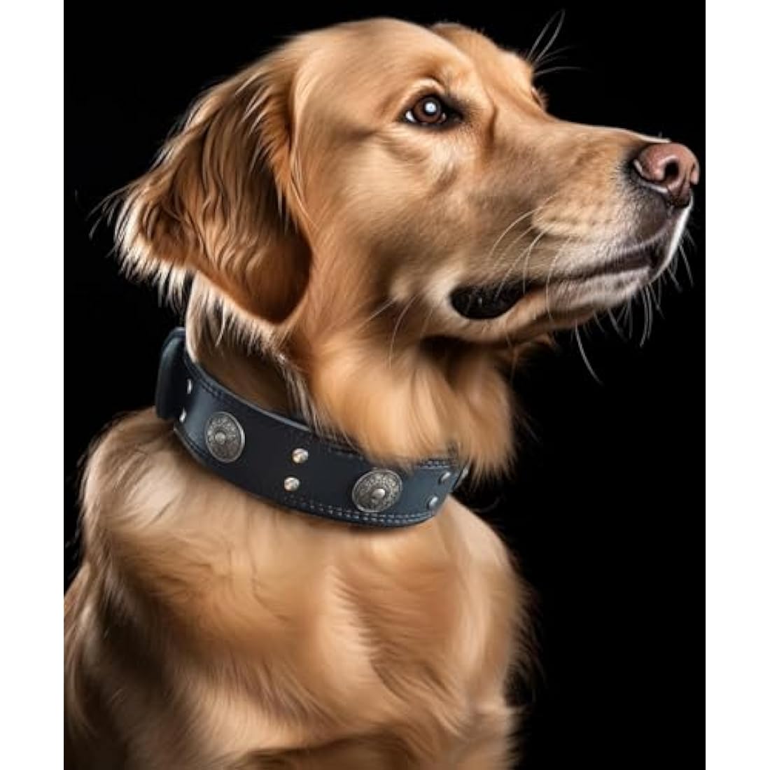 Jolof Store Wide Leather Dog Collar – Padded Handmade Cowhide, Black