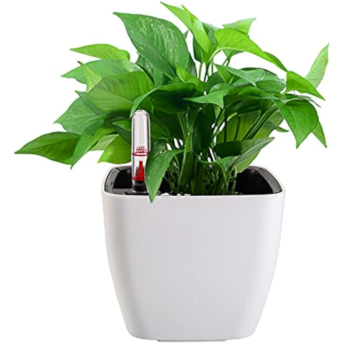 Yarlung 6-Pack Self Watering Planters with Water Level Indicator, 5 Inch