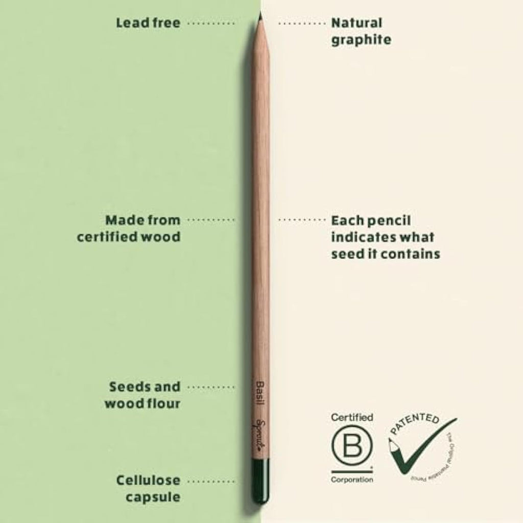 SproutWorld Plantable Pencils | Teacher's Edition 32-Pack | HB Graphite