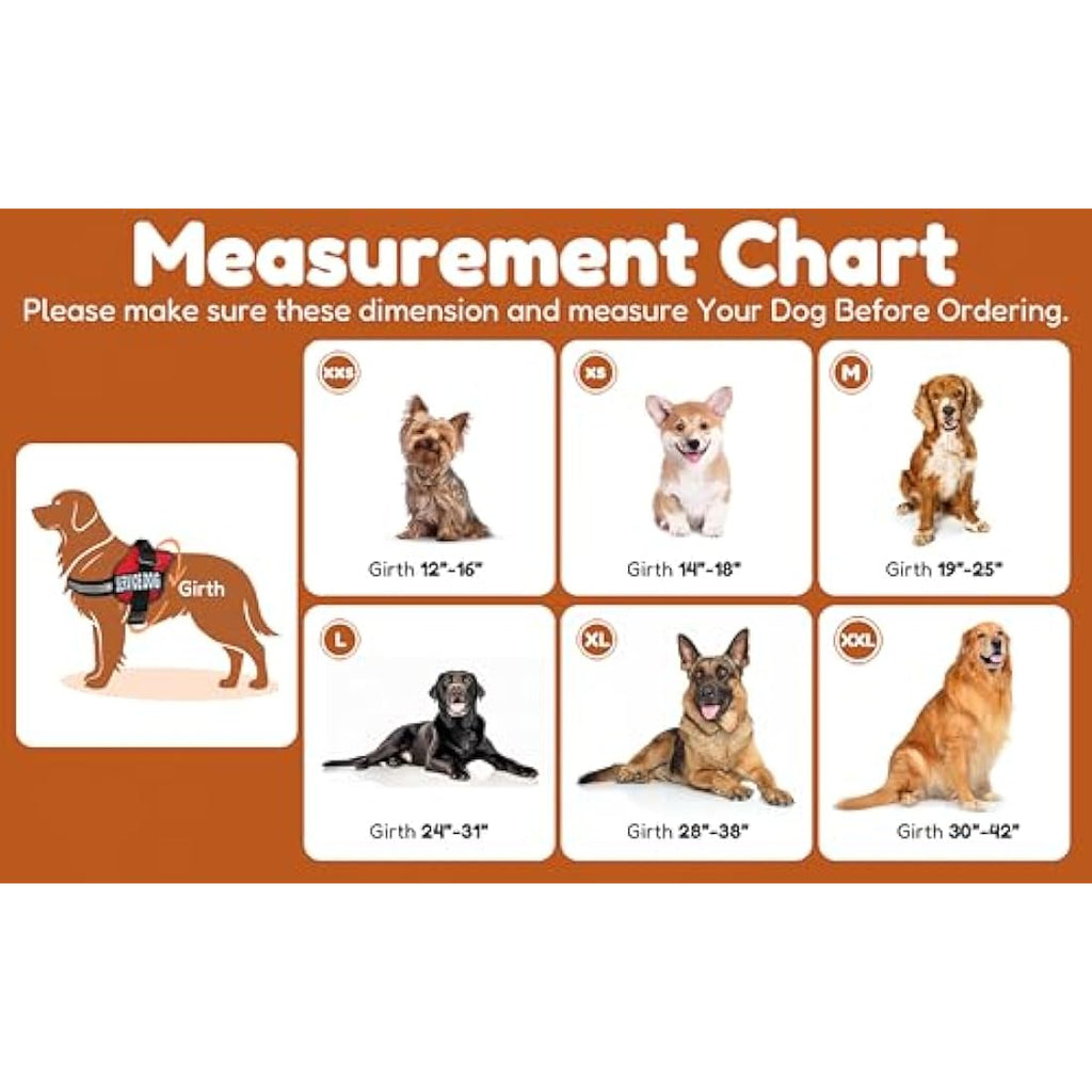 Jolof Store DO NOT PET Dog Vest Harness | Reflective & Adjustable