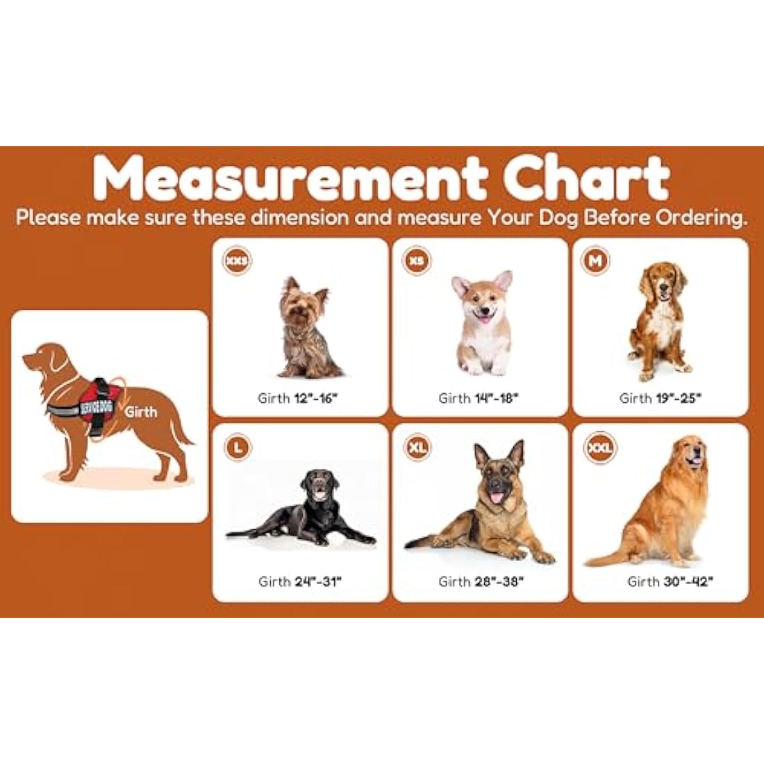 Jolof Store DO NOT PET Dog Vest Harness | Reflective & Adjustable