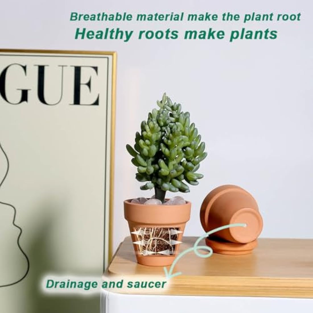 Vensovo 48 Pcs Mini Terracotta Pots - 5CM Small Clay Succulent Planters