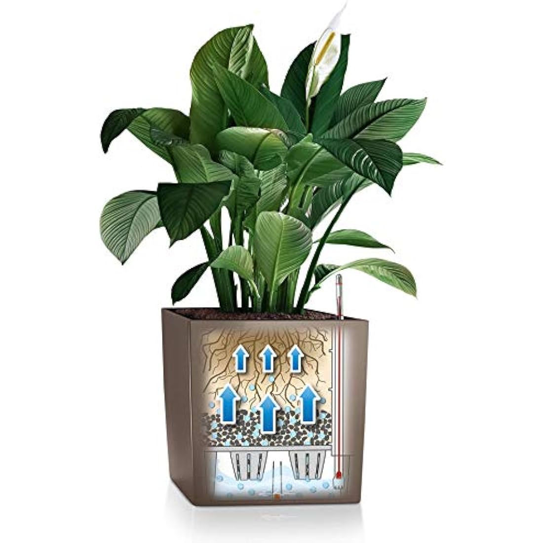 LECHUZA CUBE Premium 50 Self-Watering Planter - Scarlet Red High Gloss