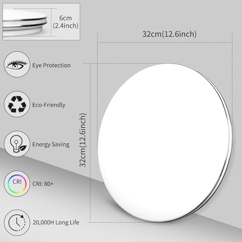 VIPMOON 24W LED Ceiling Light – 2160LM 6500K Flush Mount Silver Rim
