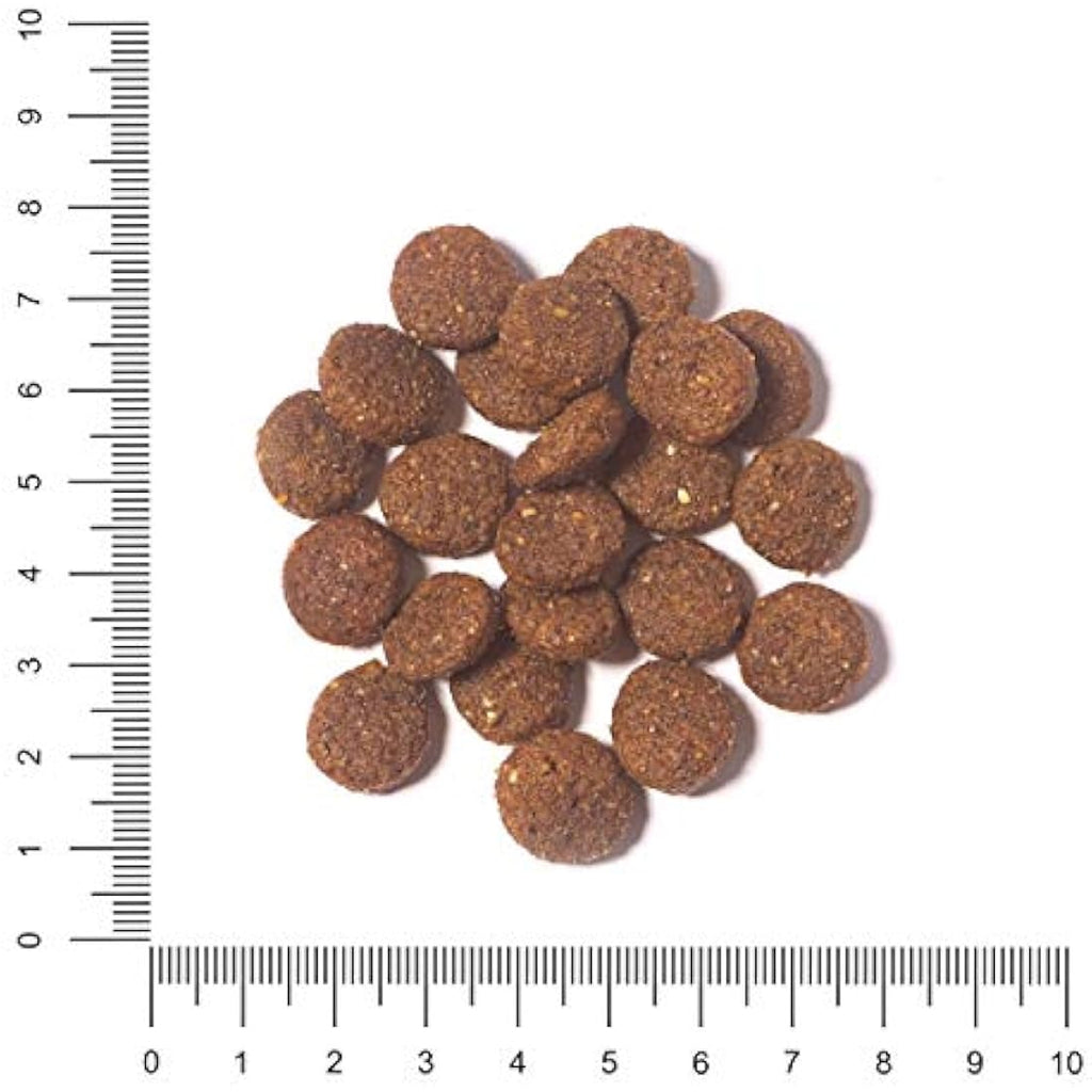 The Hunger of the Wolf Lamb & Rice Puppy Dry Dog Food - 14 kg