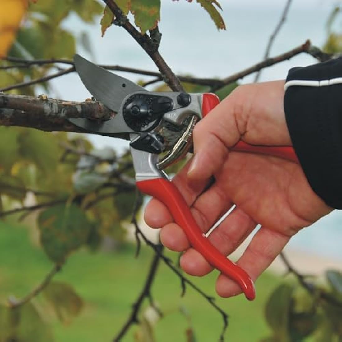 Felco Model 8 Classic Secateurs – Ergonomic Hardened Steel Pruning Shears