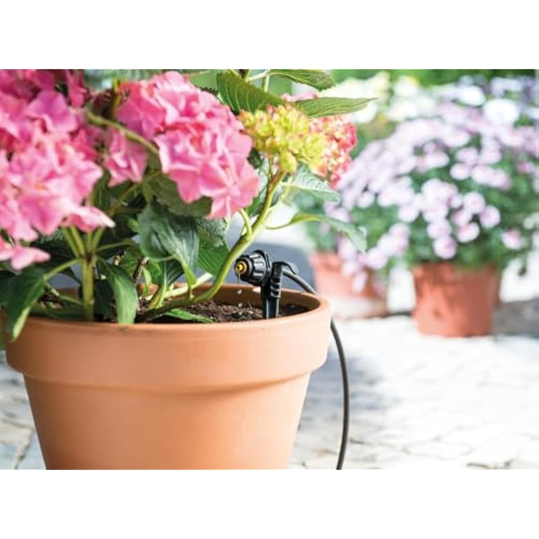 Hozelock Micro Irrigation Kit – 15m Drip System for Potted Plants