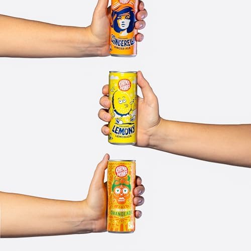 Karma Drinks Organic Orangeade – Fairtrade Fizzy Soft Drink, 24 x 250ml