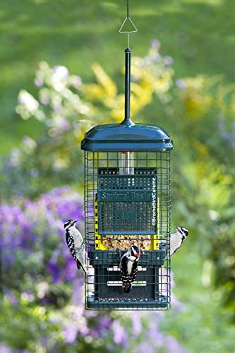 Squirrel Buster Suet Bird Feeder – Squirrel-Proof with 2 Cake Trays