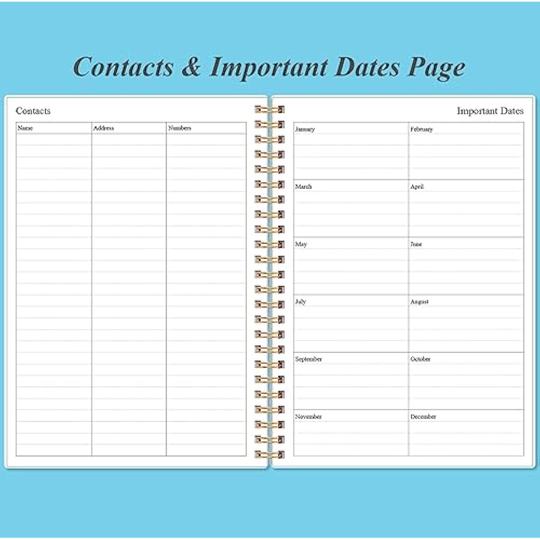 Jolof Store Undated Daily Planner – A5 Hourly Schedule & To Do List Notebook