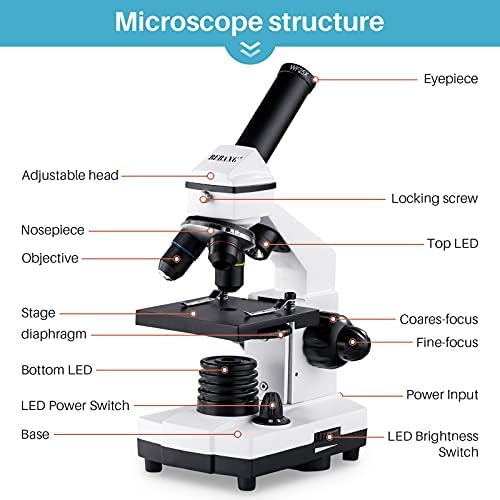 BEBANG 100X-2000X Biological Microscope Kit with Phone Adapter
