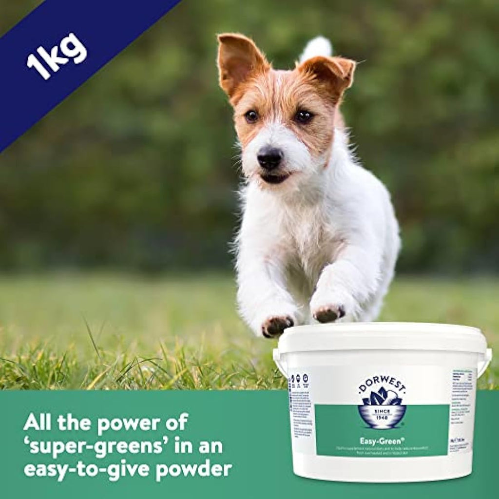 Dorwest Herbs Easy-Green Powder 1kg | Raw Diet Supplement for Dogs