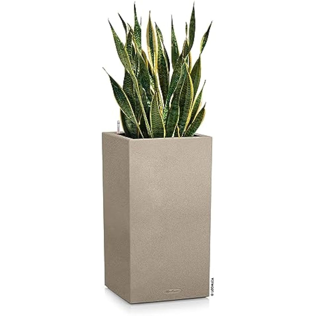 LECHUZA CANTO Stone 40 High Self-Watering Planter – Sand Beige