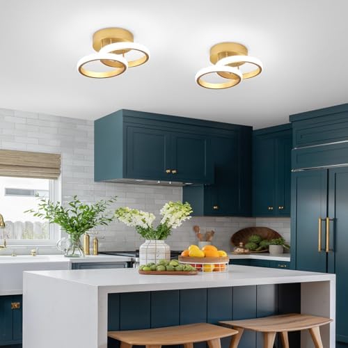 Jolof Store Modern LED Ceiling Light – 22W Gold Flush Mount 6000K