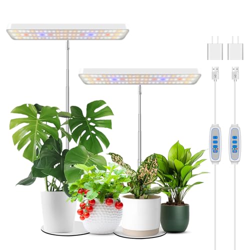 Wiaxulay Full Spectrum LED Grow Light – Height Adjustable Desk Plant Lamp
