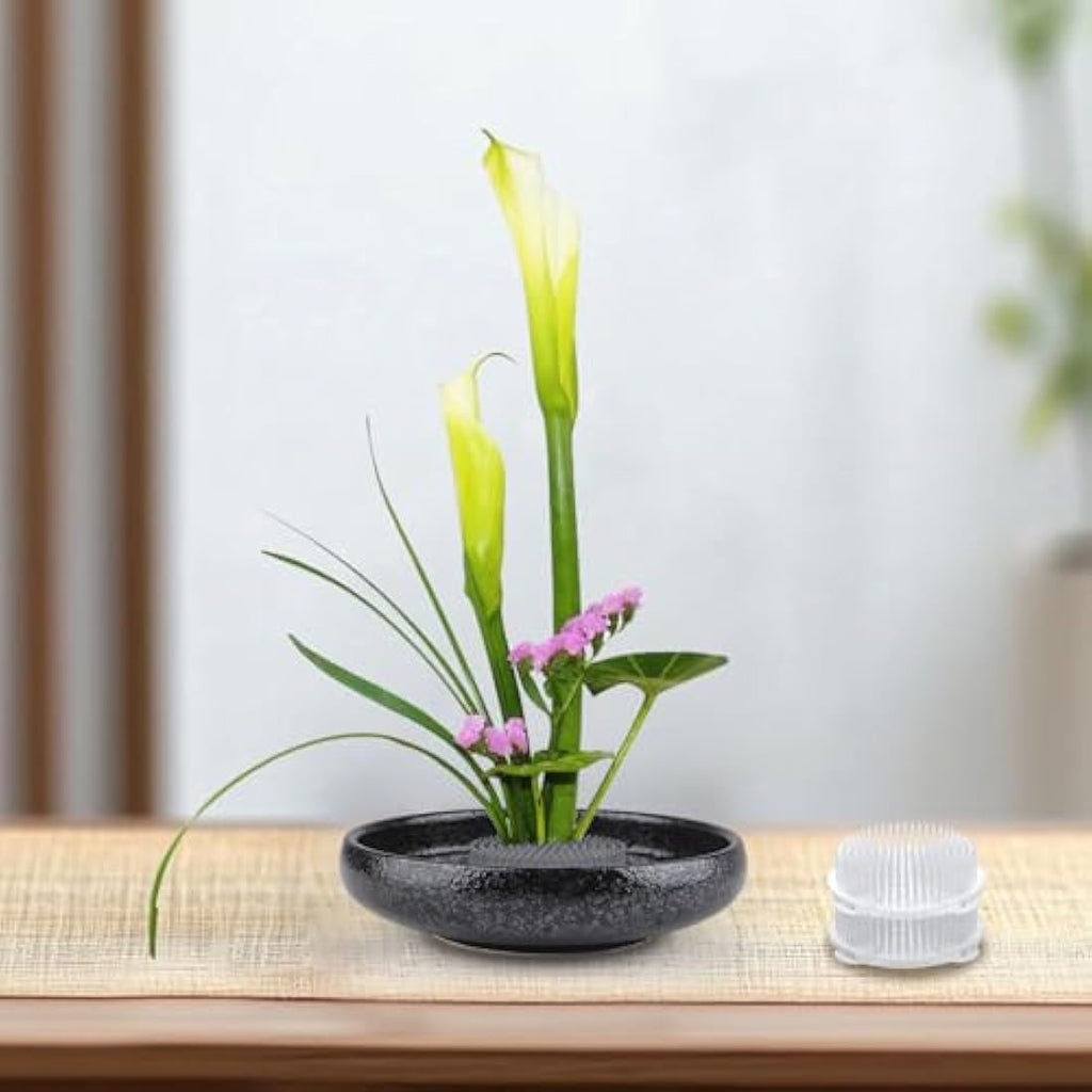WANDIC Round Clear Plastic Ikebana Kenzan Flower Frog with Suction Cups