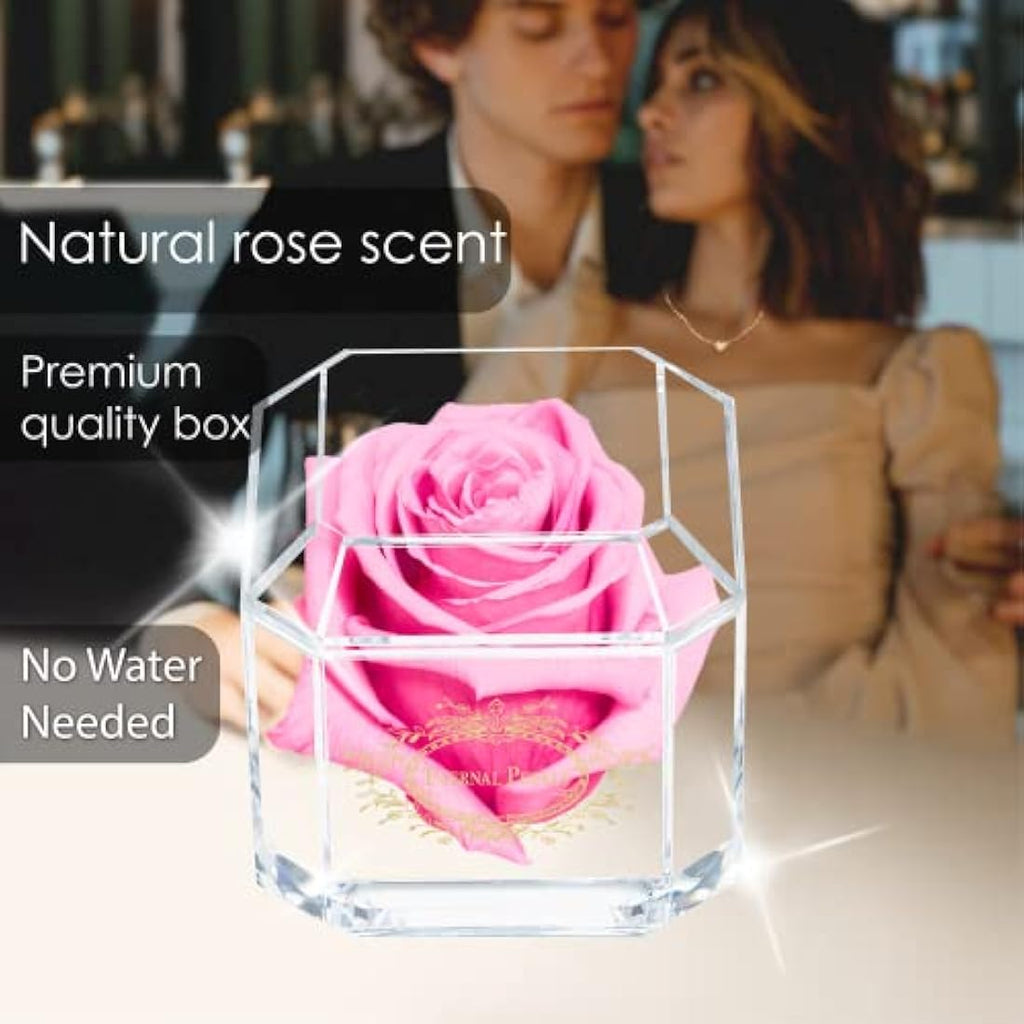 Preserved Pink Infinity Rose – Real Long-Lasting Flower