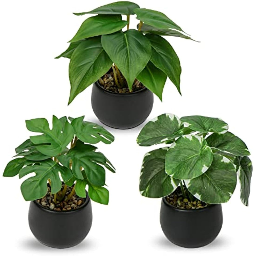 Jolof Store Set of 3 Small Artificial Potted Plants in Ceramic Pots