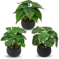 Jolof Store Set of 3 Small Artificial Potted Plants in Ceramic Pots