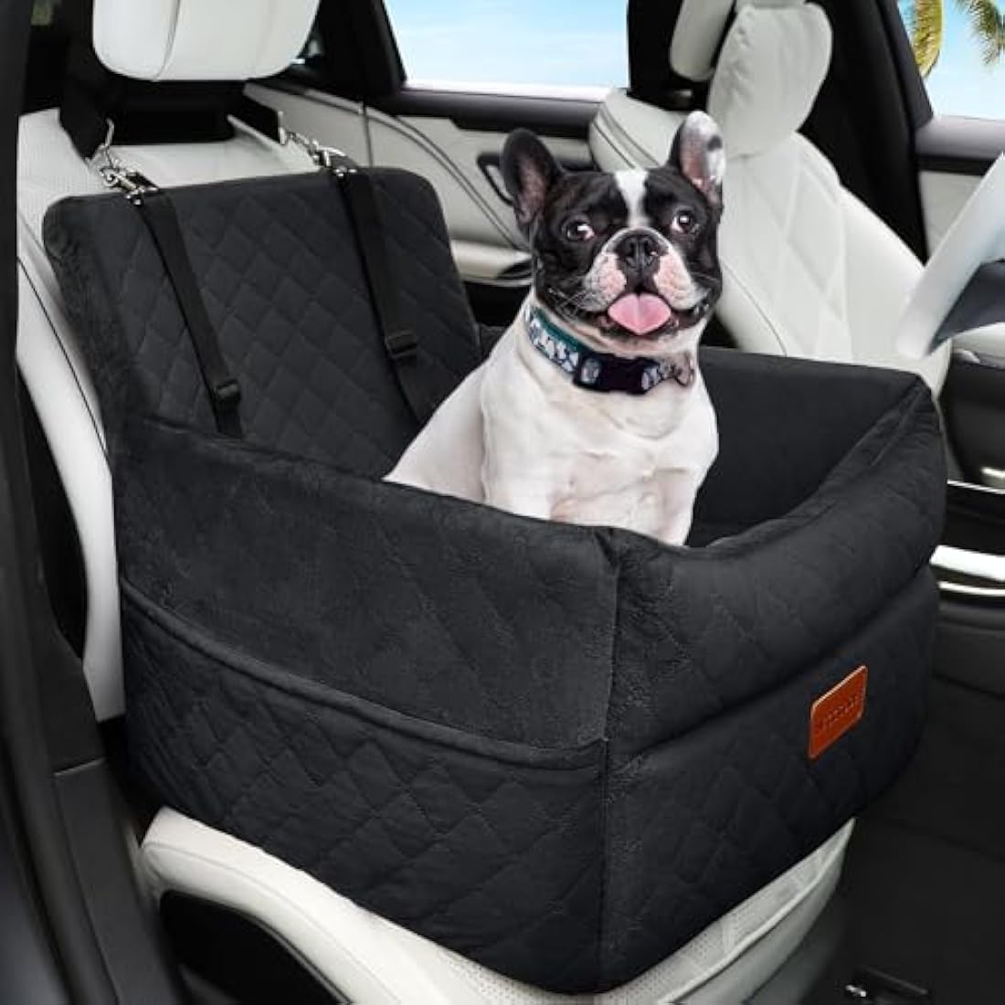 HEGGCOOE Memory Foam Dog Car Seat | Washable Booster Seat for Medium Dogs